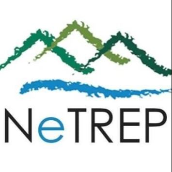 NETREP Logo